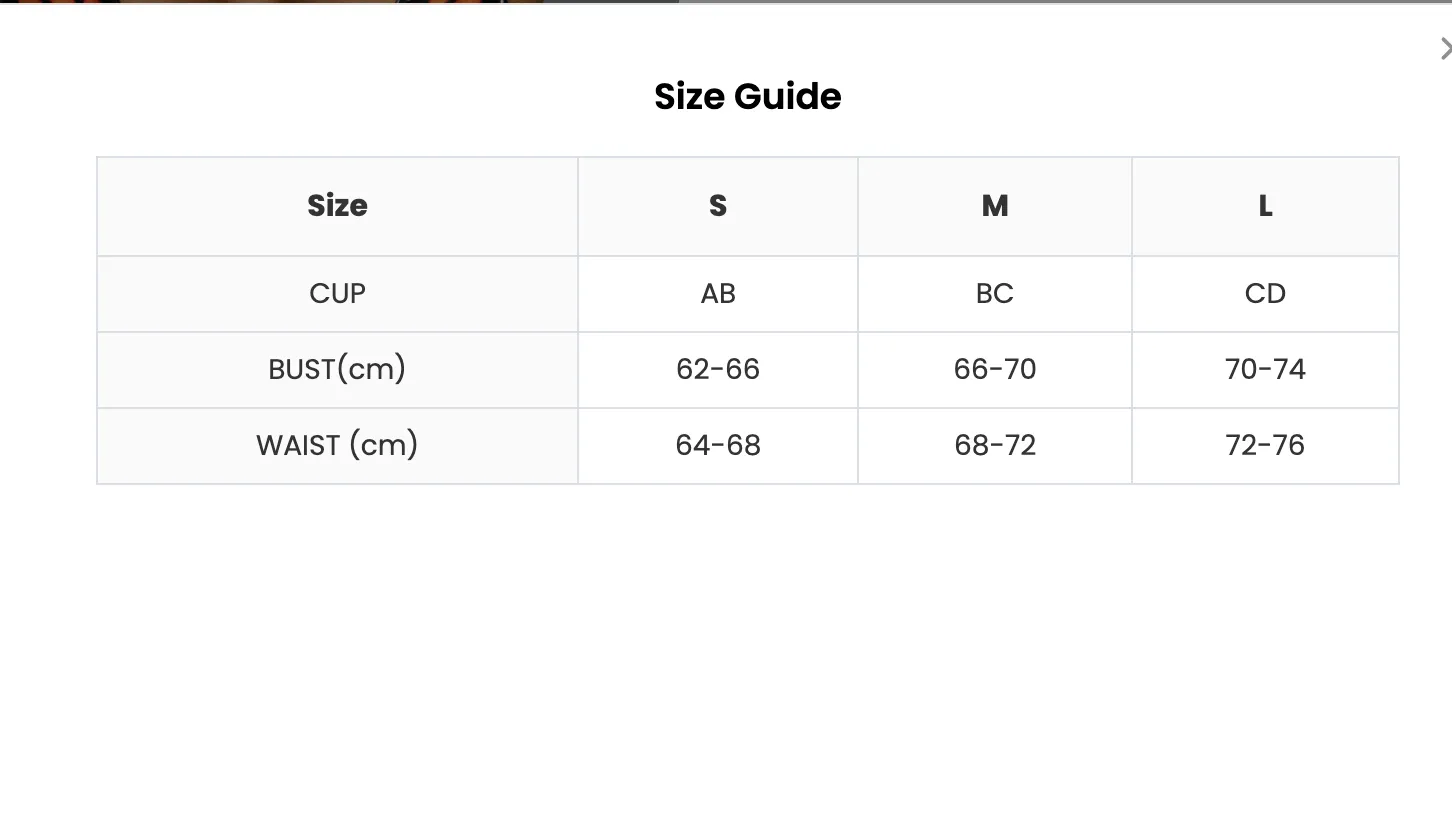 50 Pair's) Wholesale Sexy Butterfly Print Bikini Set Swimwear
