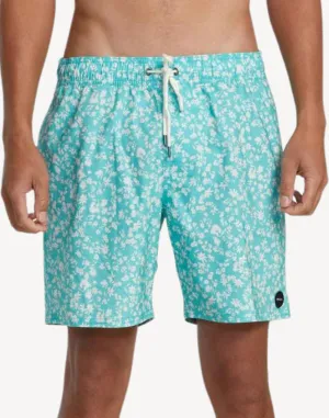 Barnes 17" Swim Trunk
