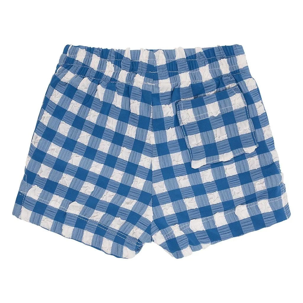 Blue Gingham Mini Swim Trunk