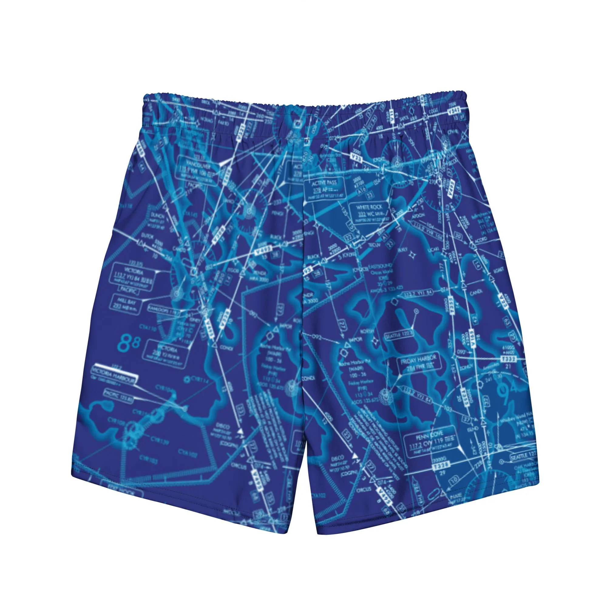 Enroute Low Altitude (ELUS1) Chart men's swim trunks (blue)