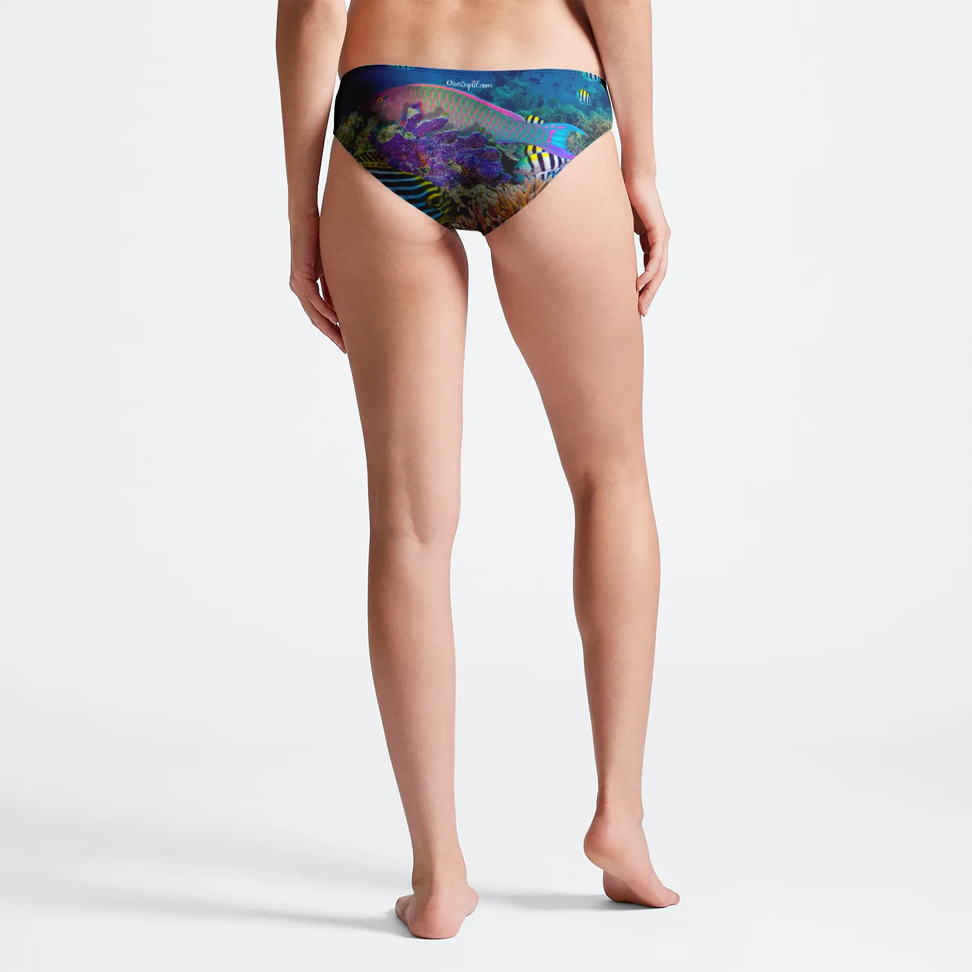 Parrotfish Mid Rise Bikini Bottom Brief