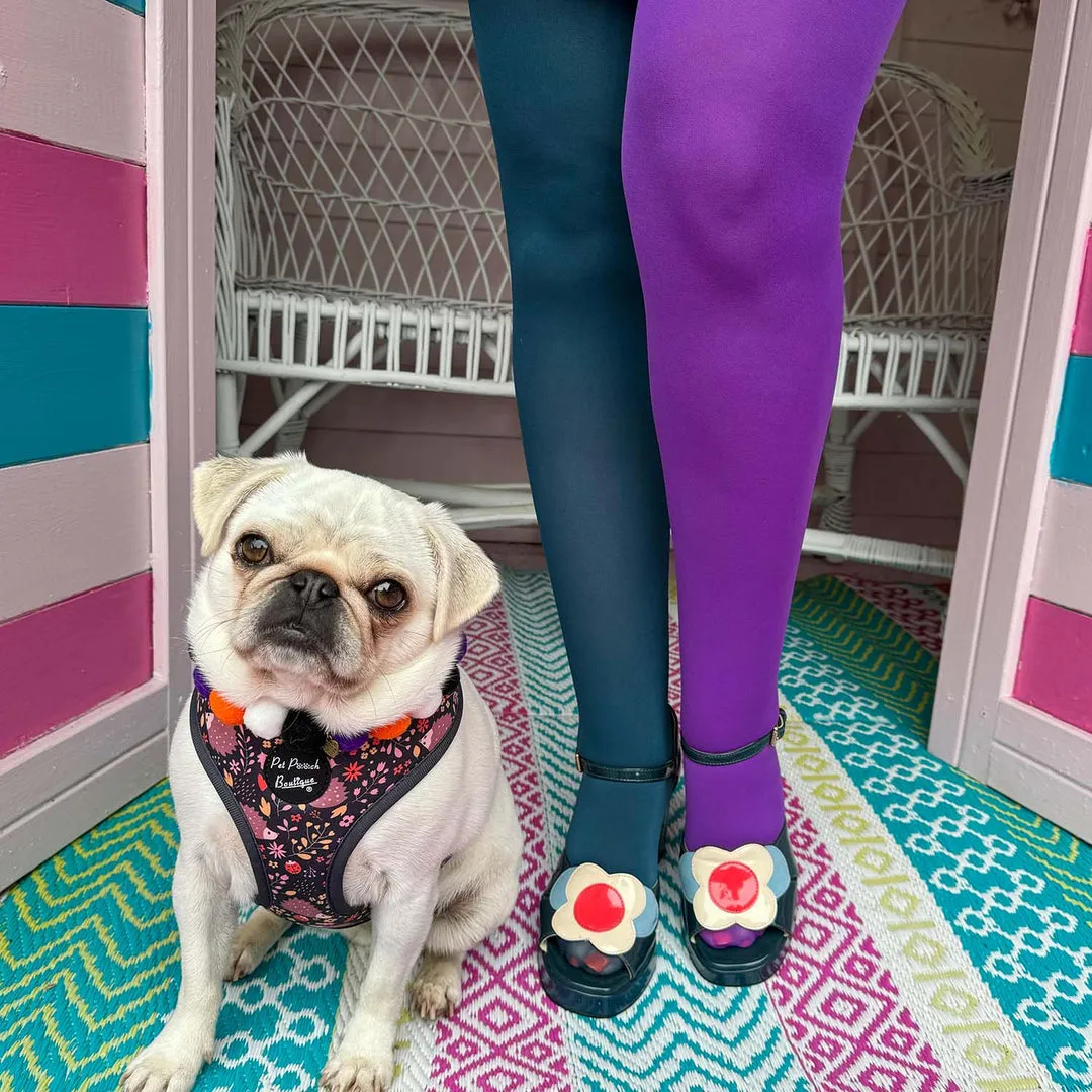 SNAG Duo Tights ~ China Haze Sz AB & D ONLY