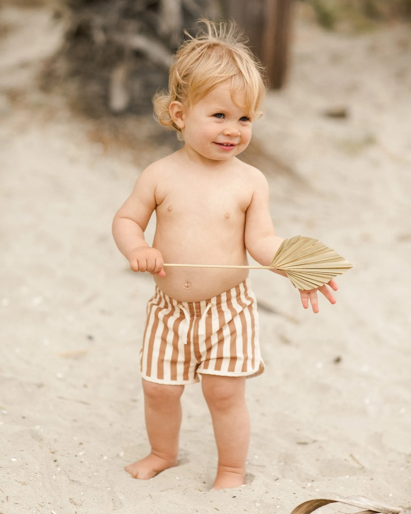 Swim Trunk || Clay Stripe