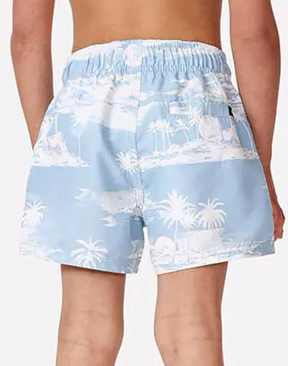Toddler Boys Dreamers Swim Trunk