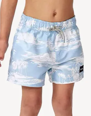 Toddler Boys Dreamers Swim Trunk