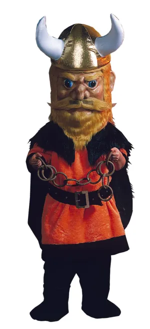 Viking Costume As Pictured Costume